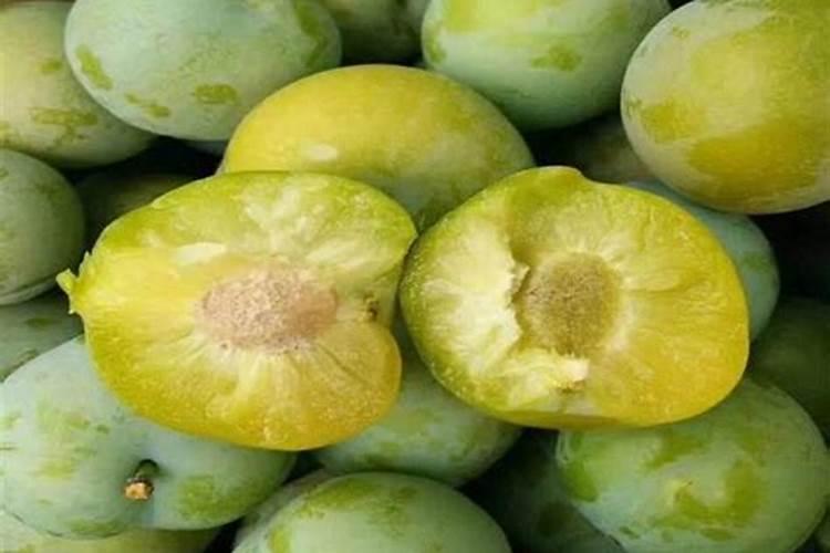 老师,请问一下李子树结的果子长油,树叶发黄是什么原因啊!应该怎么处 ...