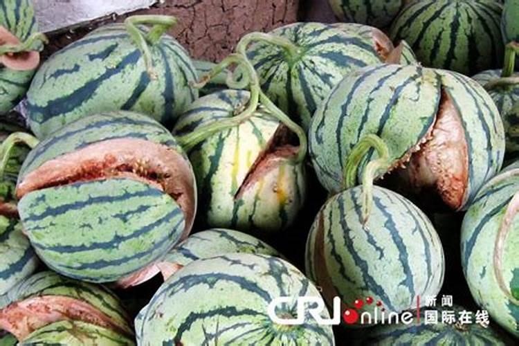 果树上膨大素用多了用什么解药？