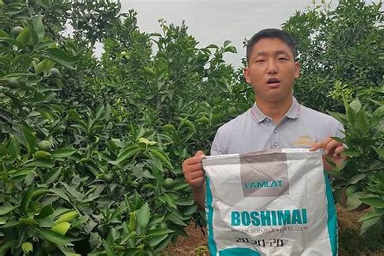 国内比较好水溶肥厂家有哪些