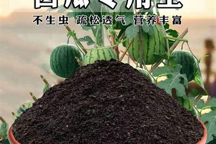 为什么我种的西瓜它只开花,不结果呢？