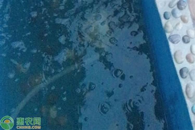 芸苔素可以控旺吗