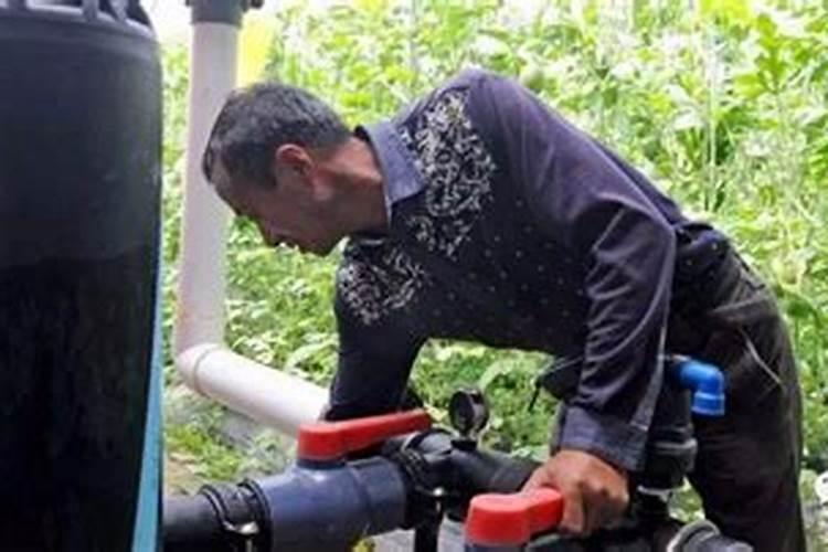 花生啥时候打叶面肥