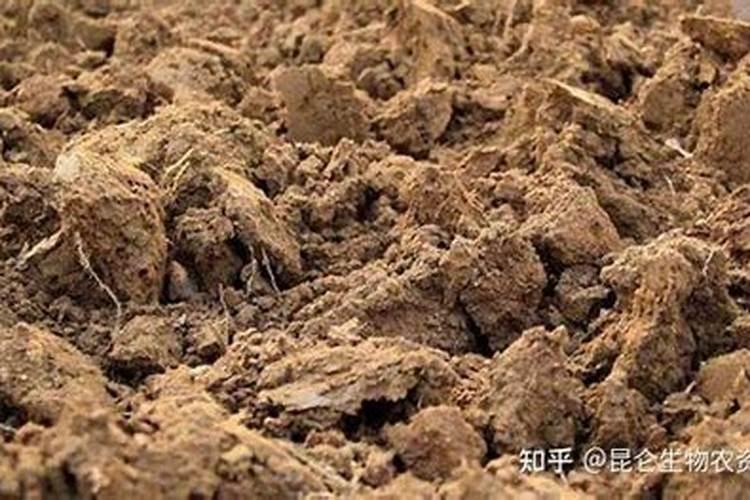 磷肥的作用是什么 磷肥怎么使用正确