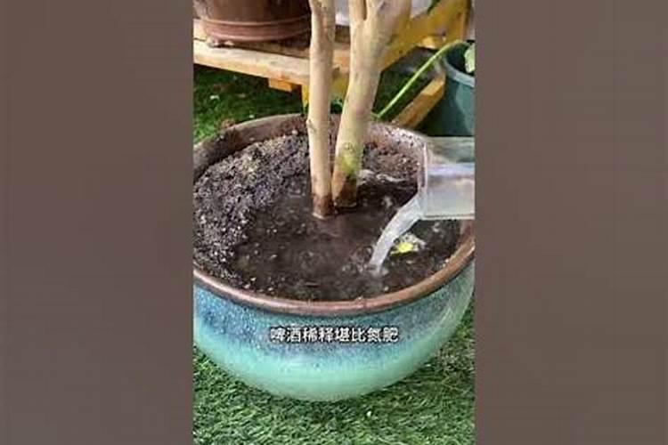 氮肥磷肥钾肥家庭自制