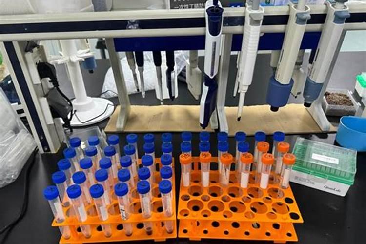 研究植物微生物高光逆境胁迫有哪些方法