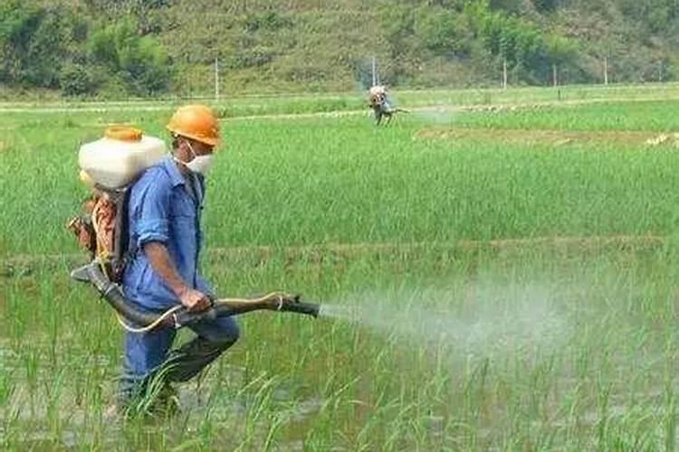 液态氮肥加磷酸二氢钾的作用