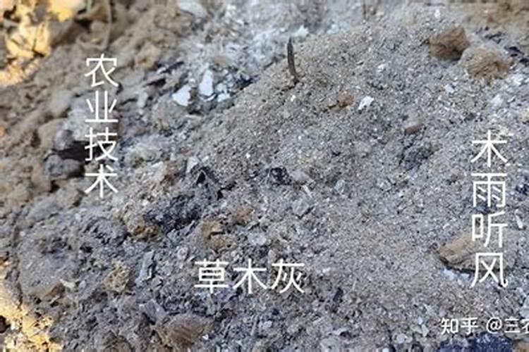 烧的草木灰能做肥吗