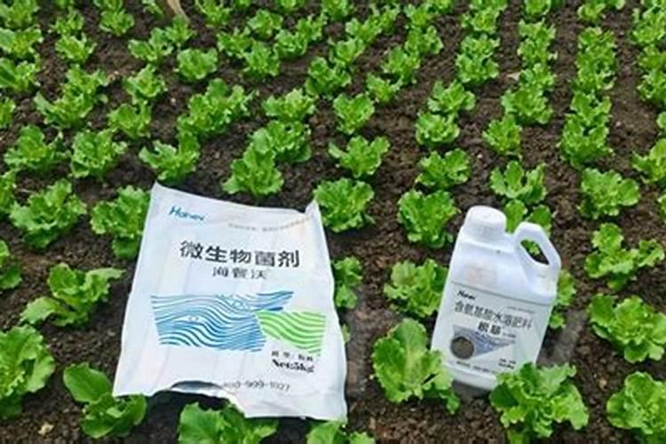 三个18平衡水溶肥适合什么作物用