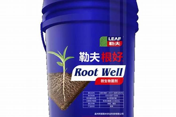 大棚黄瓜坐果期应该怎么施肥？