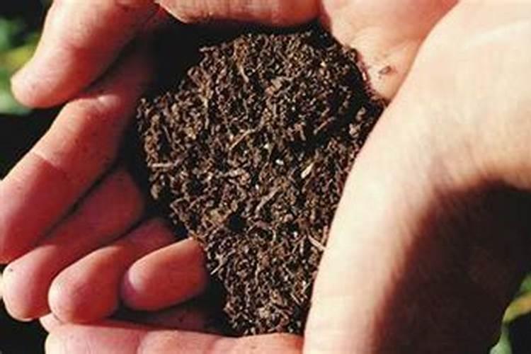 富硒肥料什么牌最好？