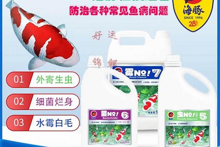 蛋白虫爆缸了怎么办