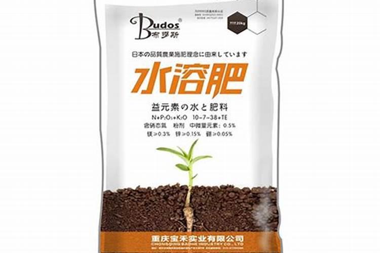 效果好的水溶肥是哪家