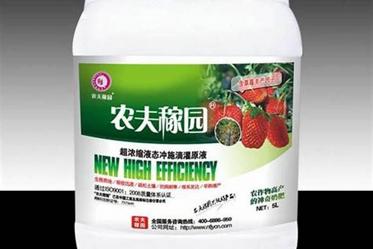 如何促进草莓花芽分化？