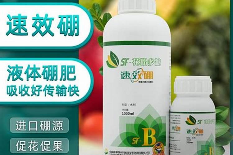 罗汉果苗淋硫酸钾起到什么作用