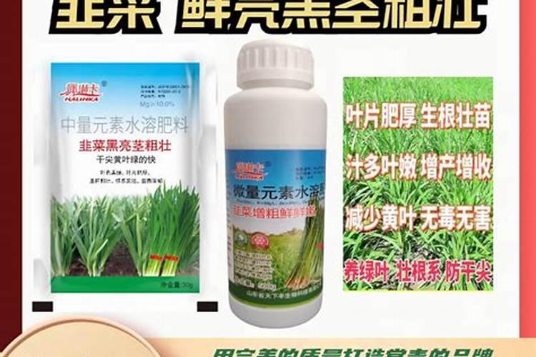 韭菜初期怎样施肥？