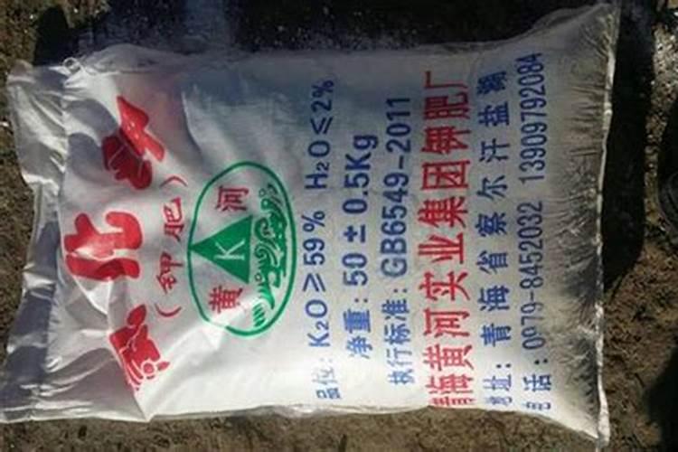 钾肥的科学施用技术