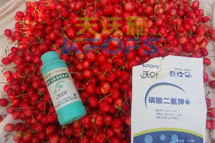 阳光玫瑰葡萄树果粒硼大期喷施亚磷酸钾叶面肥肥会影响果面吗