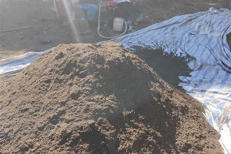 云南小黄姜施肥方案