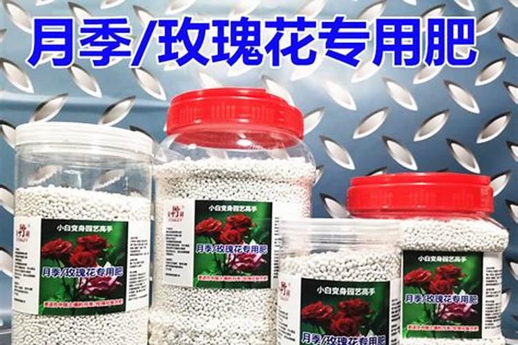 月季专用肥是什么肥料