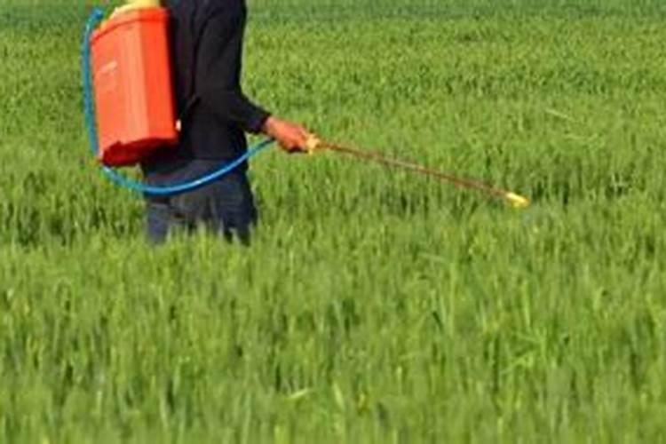 磷酸二氢钾可以和硼肥、尿素、多菌灵一起用吗