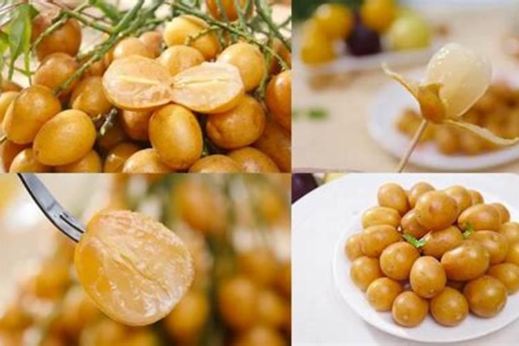 黄皮树怎样施肥才果核小一点