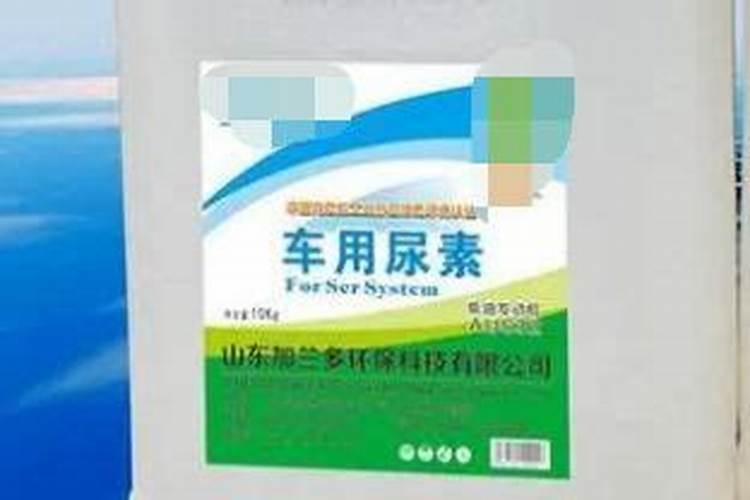 韭菜施肥时间在什么时候 韭菜怎么养殖
