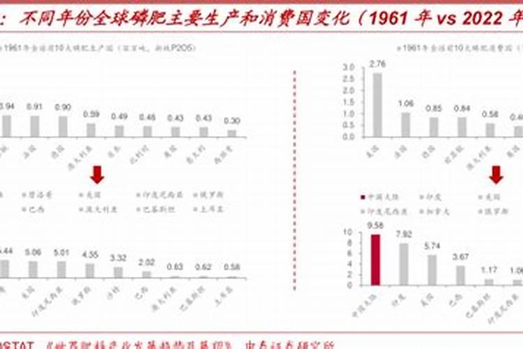 巴西坚果树苗几元钱一棵？