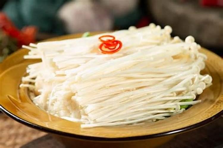 火烈鸟的饲养方法和注意事项