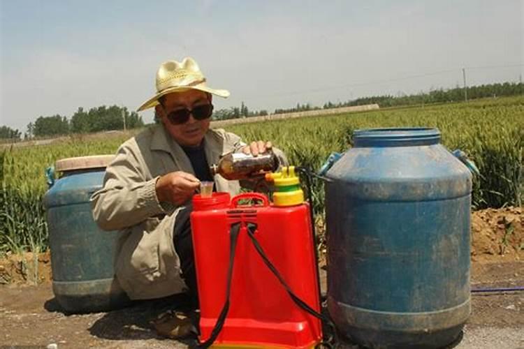 玉米大喇叭口期用液氮肥可以替代尿素吗