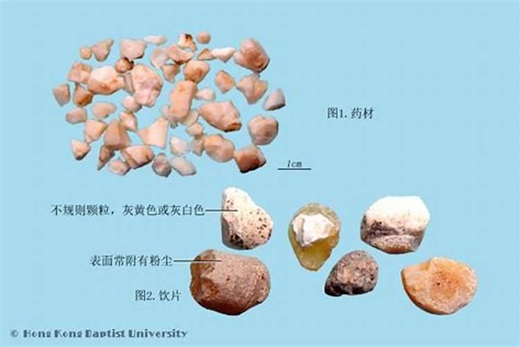 我家有一棵平安树,温度在多少度才不会冻死,需要经常浇水吗？不被阳光照...