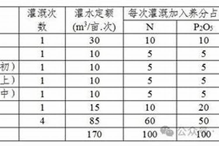 阳光玫瑰什么用中钾肥最好