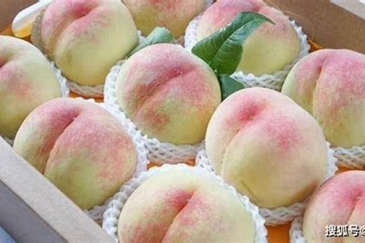 桃子硬核期用什么肥料