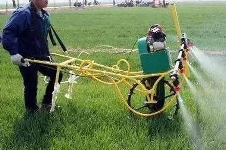 磷酸二氢钾可以和硼肥、尿素、多菌灵一起用吗