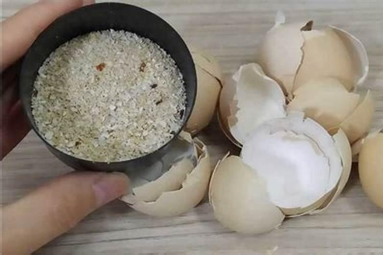 鸡蛋壳沤肥方法(绿色环保新选择鸡蛋壳沤肥方法详解,简单易行,让你的...