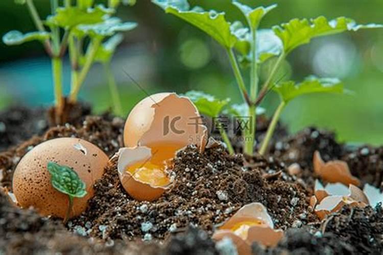 最方便的磷钾肥制作方法