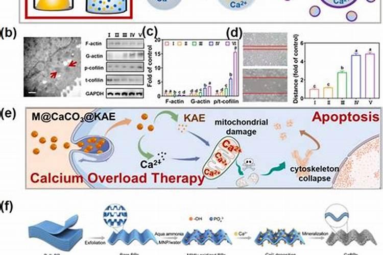 生石灰和那些肥料施果树