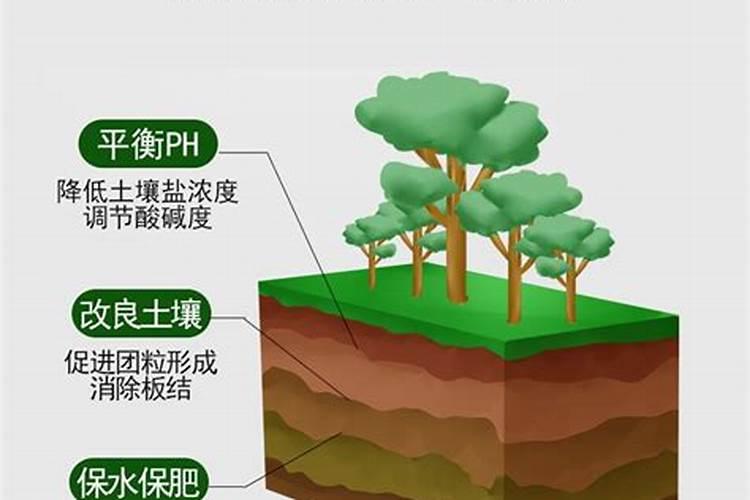 矿源黄腐酸钾腐殖酸水溶肥,矿源黄腐酸钾对土壤板结效果!