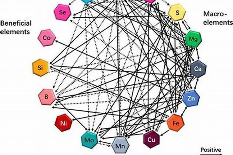 如何区别大量元素、中量元素、微量元素？