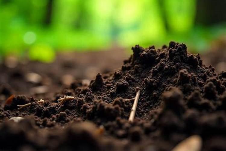 枸橼酸钾枸橼酸钾