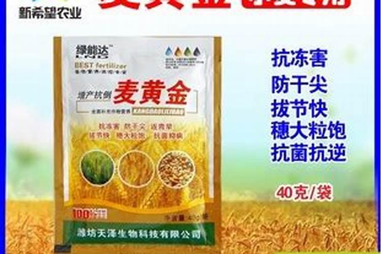 沃巴盾与根宝那个对小麦效果好？