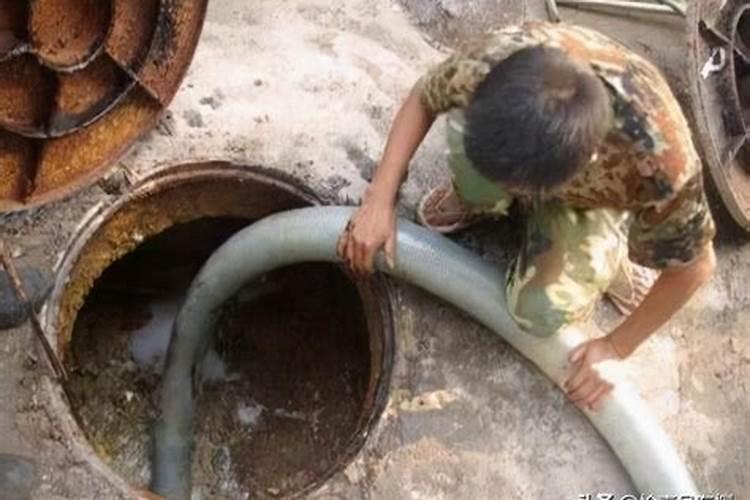 粪水浇菜被质疑,脏、寄生虫、有毒,明明有化肥农民为何还用粪水