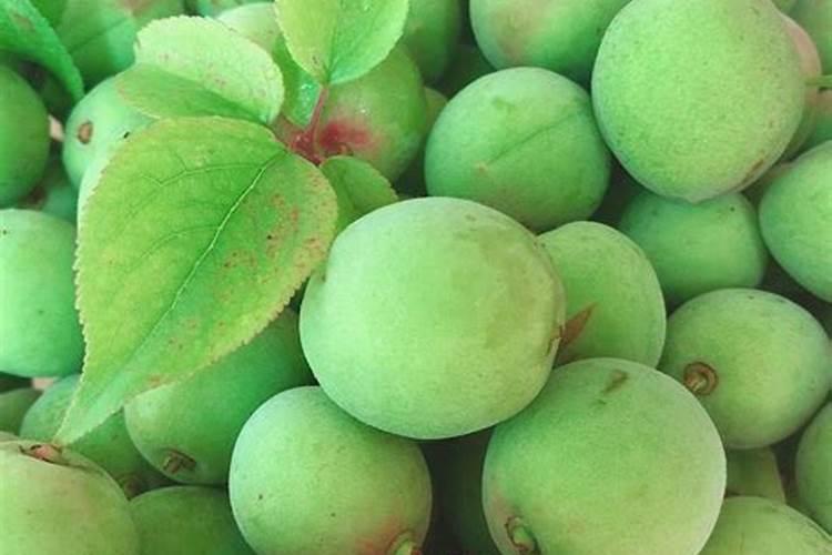 花生喷施钙肥最佳时间 什么时候使用合适