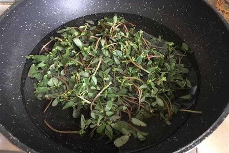 苋菜怎么摘？苋菜怎么处理