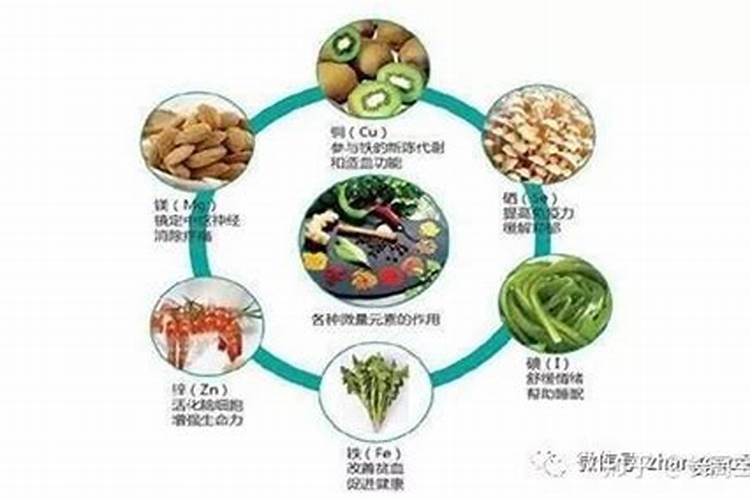 化肥的主要成分有哪些