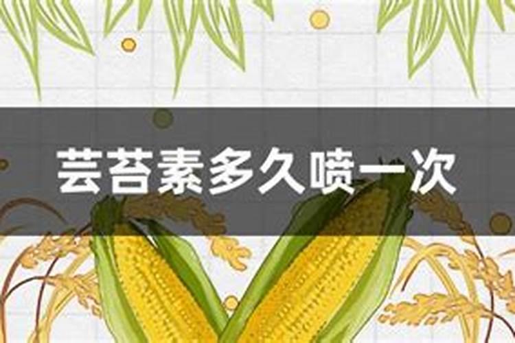 芸苔素多长时间用一次