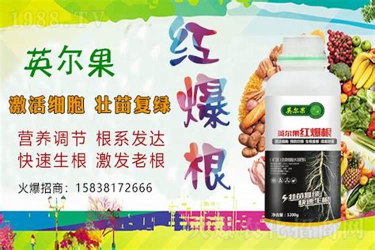 什么肥料对兰花发芽生根开花最好