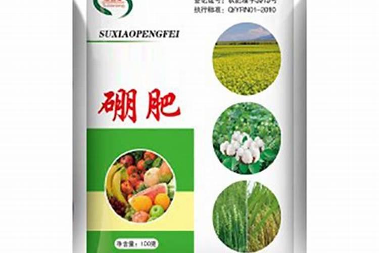 种花生用什么含量肥料最好高产