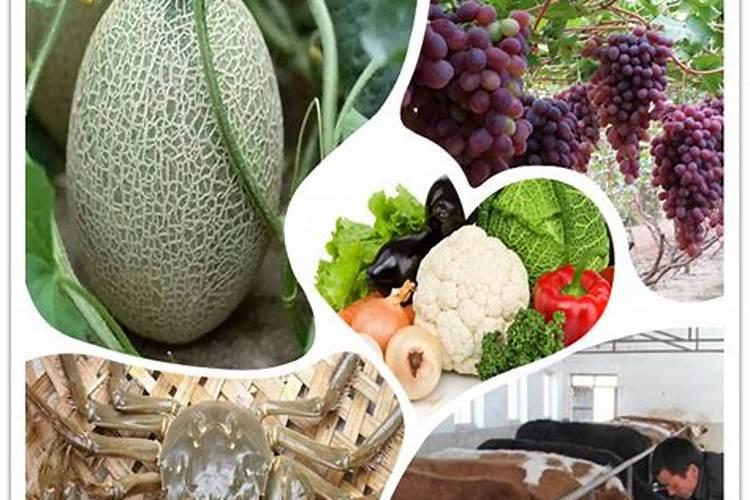 利用糖蜜如何生产黄腐酸钾