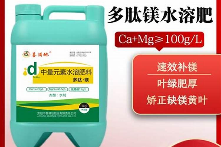 果树黄叶解决方法