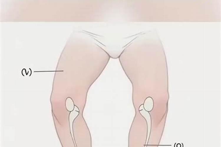 温室种子千禧柿子在各个阶段,对肥料的需求都有哪些？